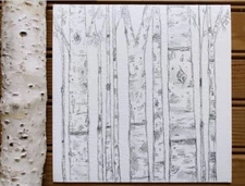 Original Drawing Black And White Modern Art Customize Aspen Birch Tree Landscape