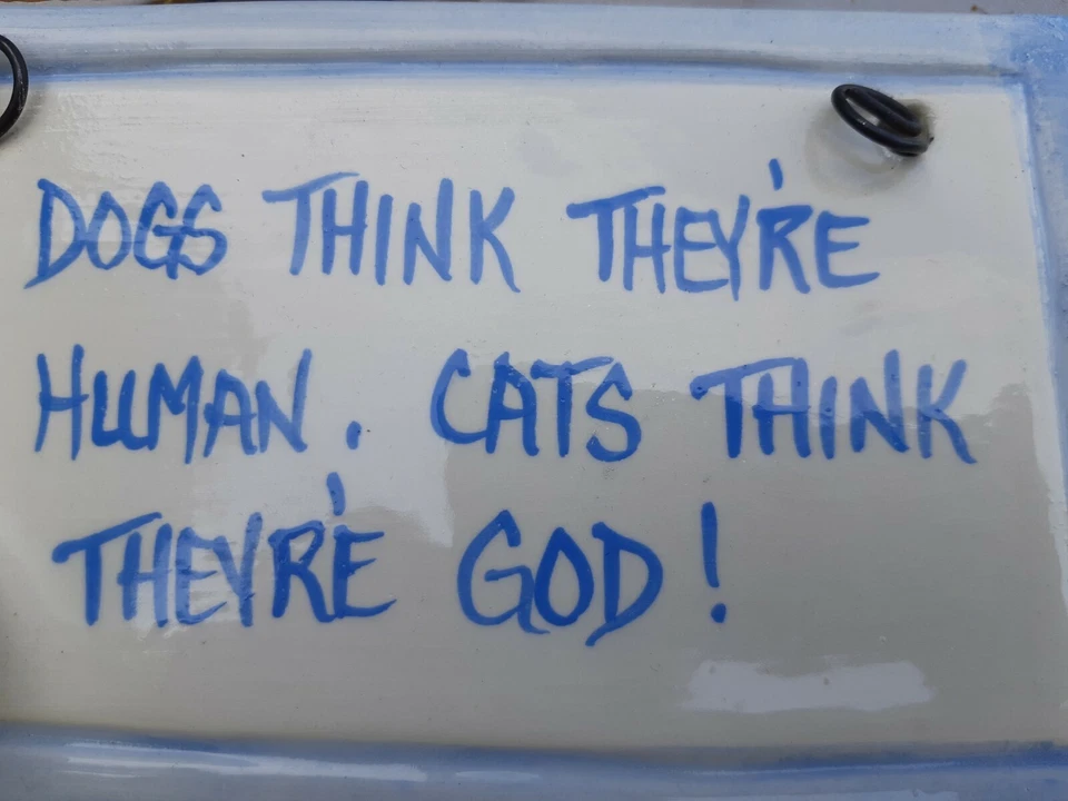 Los perros piensan que son humanos, los gatos piensan que son Dios. Letrero de porcelana/cerámica. Foto 4 de 4