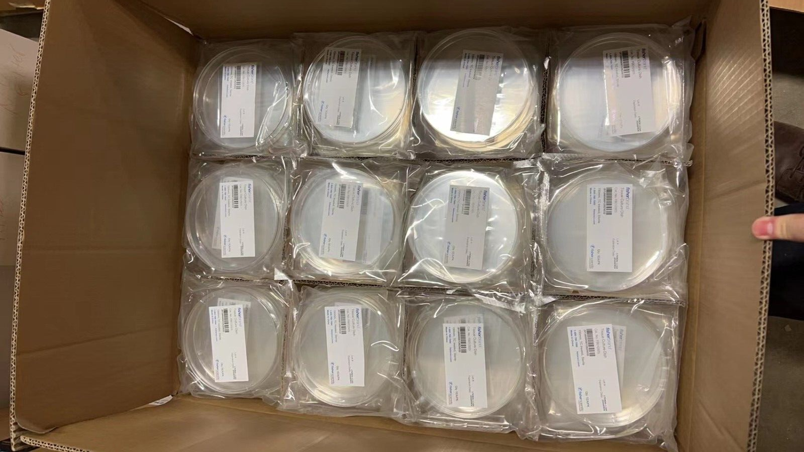 Fisher Brand Tissue culture dish FB012925 150mm TC Treated Sterile Case