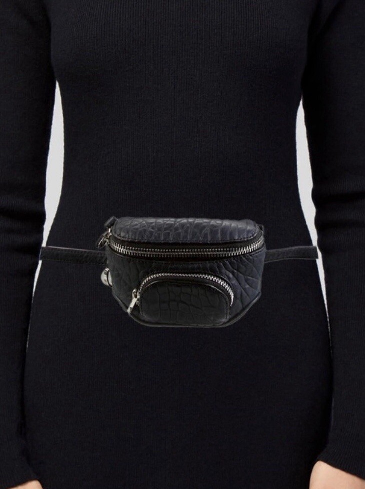 Leather Alexander Wang Belt Bag Mini Alexander Wang, Leather Belt