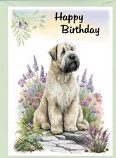 Soft Coated Wheaten Terrier Dog (4"x 6") Birthday Card - blank inside -Starprint