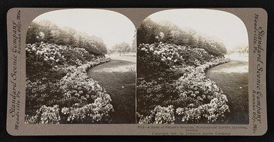 Photo:A bank of nature's beauties, horticultural garden, Goteborg, Sweden