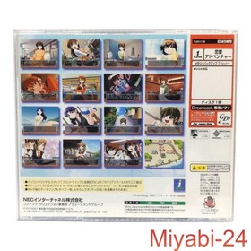 Canary Dreamcast Game Japan Import, Excellent Condition, Simulation, HKT-3000