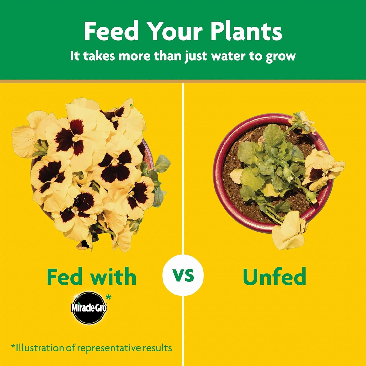 Miracle-Gro Water Soluble All Purpose Plant Food, for All Indoor or Outdoor Plan