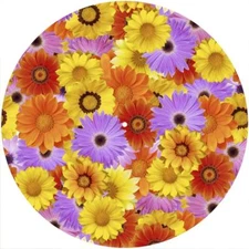Slipmat Slip Mat Felt for 12" Turntable LP DJ Vinyl Record Player FLOWER POWER 1