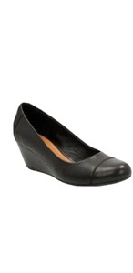 clarks wedge pump