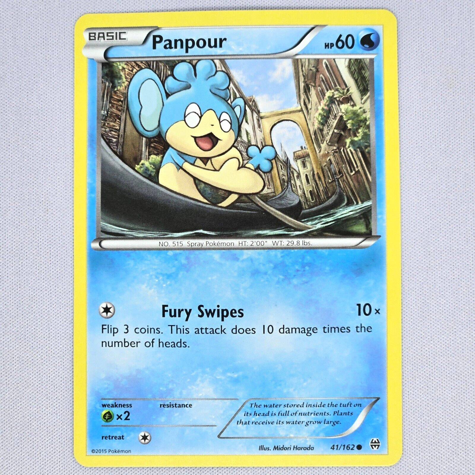 Panpour 41/162 XY Breakthrough Regular Non Holo Common Pokemon Card English NM