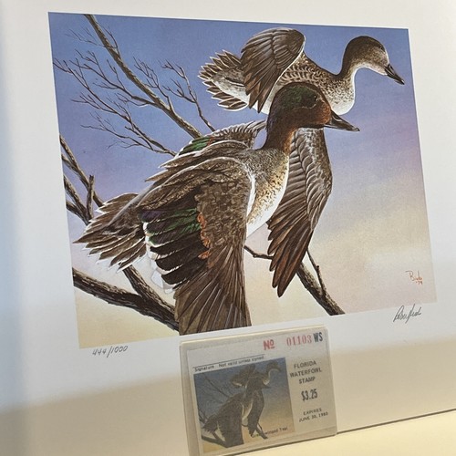 1st.of State,1979, Florida,Green Winged Teal,Bob Binks, Excellent.Mint Stamp. - Picture 6 of 12