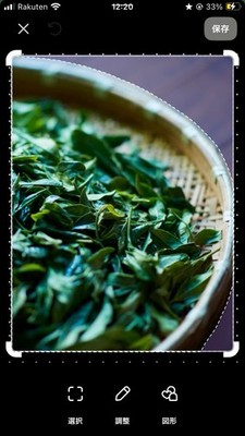 Authentic Japanese Sencha Green Tea Loose Leaf 100g x10 Bulk Set Premium