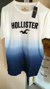 hollister maglie