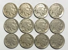 12 DIFFERENT  BUFFALO NICKELS  GREAT CIRCULATED CONDITION     #2149