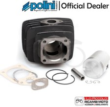 133.0072 GRUPPO TERMICO POLINI 75CC D.47 MINARELLI V1 GHISA ARIA CORSA 42