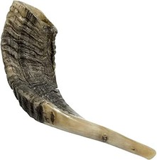 Nana Gifts Authentic Ram Horn Shofar from Israel, Clear 10"-12", black,brown