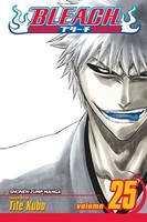Tite Kubo - Bleach Vol. 25 - Paperback - G245Z