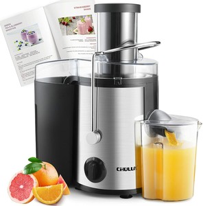 MEJOR Exprimidor De Jugo Extractor De Jugos Para Frutas y Vegetales Acero  FRESH | eBay