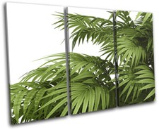Leaves Botanical Green Tropical Floral TREBLE CANVAS WALL ART Picture Print