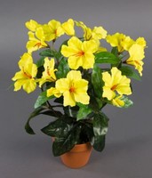 Hibiskus 40Cm Gelb Im Topf Zf KüNstliche Pflanzen Kunstpflanzen Kunstblumen