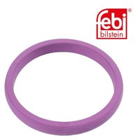 febi bilstein 100251 Dichtring FüR ÖLpumpe FüR Volvo, Renault (Rvi)