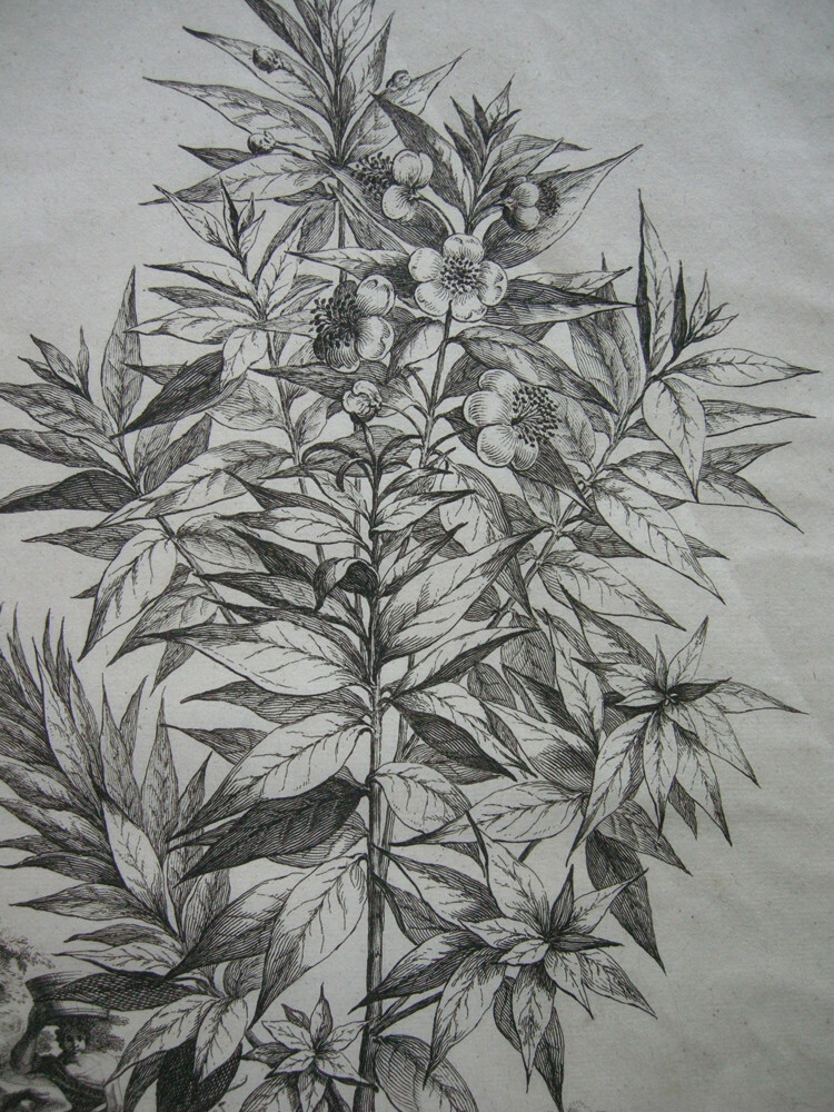 Picture 4 of 4