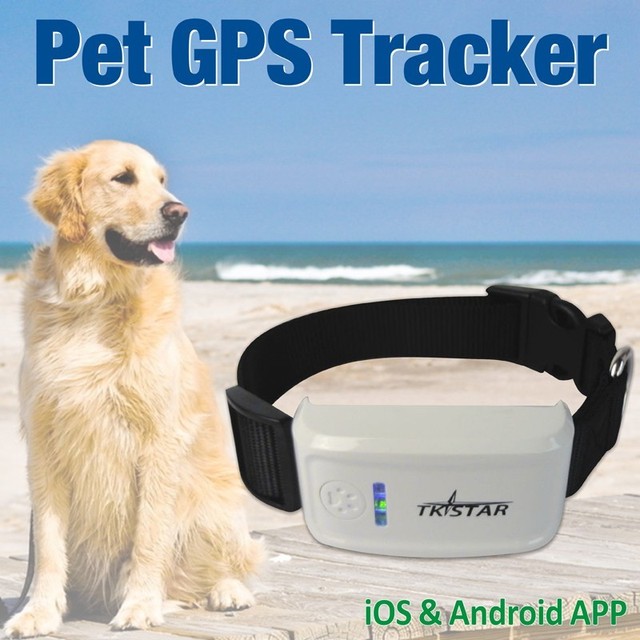 TKSTAR 909 GPS Tracker Hundehalsband *neu günstig kaufen eBay