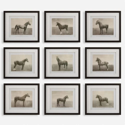 Uttermost 32343 Equine Dynasty Framed Animals Photographic Print - Black - Picture 1 of 5