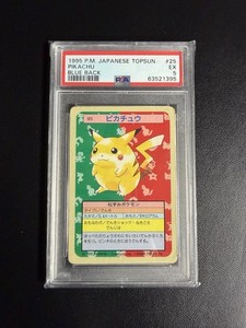 Pokemon Topsun | eBay