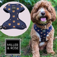 Miller & Rose 'Hello Mr Fox' Dog Harness Adjustable Neoprene