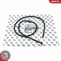 Schlauch Leckkraftstoff Esen SKV 54SKV325 FüR BMW 1Er F21 3Er E90 X1 E84 Touring