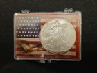 .999 Silver American Silver Eagle 2009 With Toning