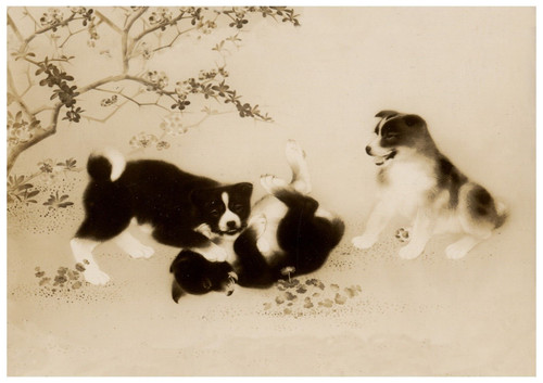 AKITA PUPPIES AT PLAY SEPIA JAPANESE DOG ART POSTCARD