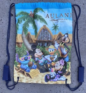 mickey mouse beach bolsa