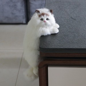 toy persian