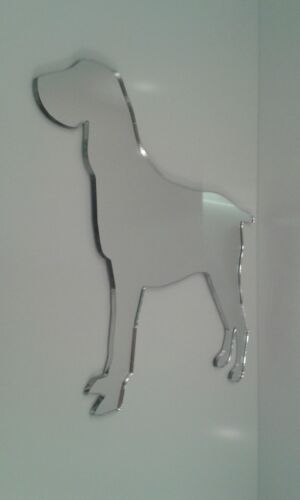 DOG ACRYLIC ANIMAL NOVELTY MIRROR ACRYLIC SHATTER RESISTANT PERSPEX IDEAL GIFT - Picture 1 of 1