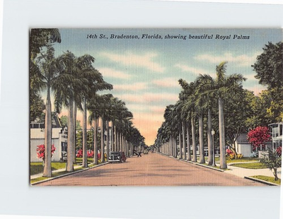 #ad Postcard Royal Palms 14th Street Bradenton Florida USA $13.96