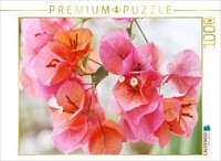Calvendo Puzzle Bougainvillea | 1000 Pieces, Finished Size 25.2 × 18.9 In (64 ×