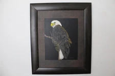 Bald Eagle on Branch – Original Scratchboard Art by Rich Cayou”