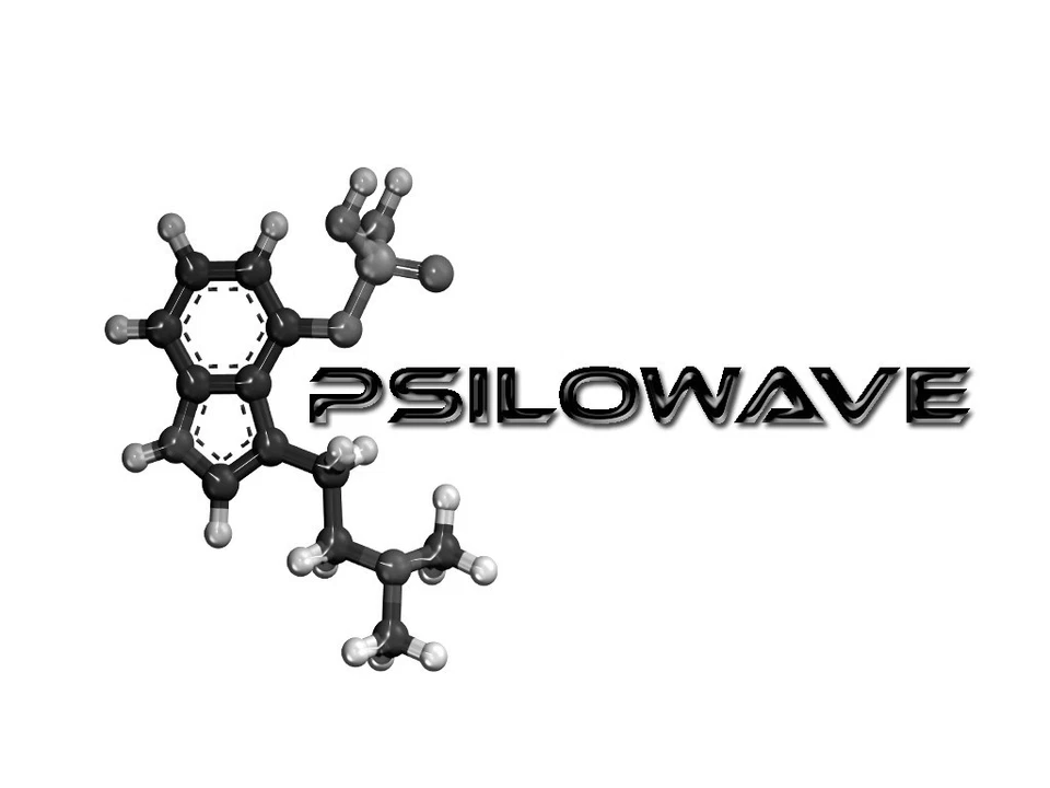 Teenage Mutant Ninja Turtles 2 The Secret Of The Ooze Soundtrack CD Waxwork New - Image 2 of 4