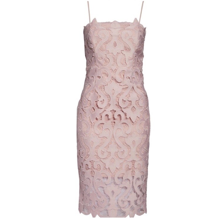 NWT BARDOT Lina Lace Sheath Dress Sz 12/XL | eBay