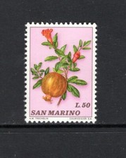 San Marino 1973 POMEGRANATE MNH SC 811
