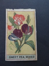 Victorian Sweet Pea Mix seed packet front illustration