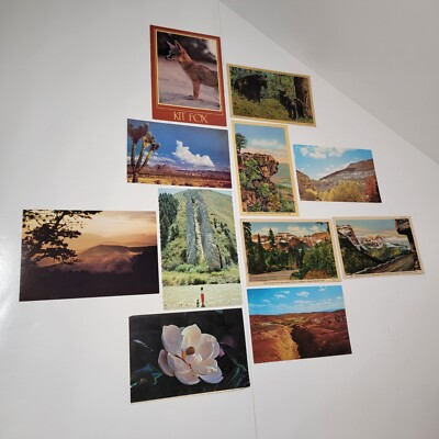 #ad 11 Vtg Uncirculated Postcards Of American Places Mountains Animals Cat#PC 202 $9.00