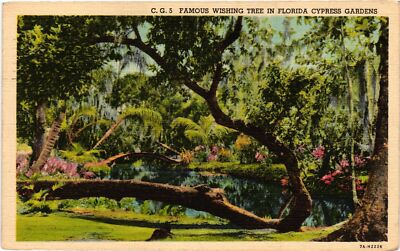 Vintage Postcard- Wishing Tree, Cypress Gardens, FL