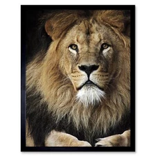 Lion Male Face Animal Cat 12X16 Inch Framed Art Print
