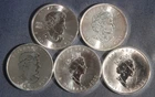 FIVE (5)  1 OZ .9999 SILVER  MAPLE LEAF COINS (1999- 2023)  LOT 040914-1
