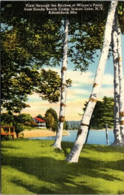 Postcard View Through the Birches Of Wilsons Point Indian Lake NY /Linen