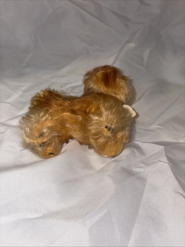 Vintage STEIFF Peky Plush 4" Long Pekingese Dog Made Of Mohair Original Tags - Picture 6 of 9