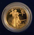 1987 US P Mint American Eagle One - Half Ounce Twenty-Five Dollar Gold Coin