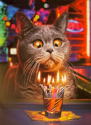 AVANTI LUSTIGE KATZE & KERZEN GEBURTSTAGSKARTE ~ WÜNSCHEN SIE SICH