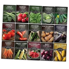  Vegetable Garden Collection Seed Vault - Non-GMO Heirloom Family Garden Seeds 
