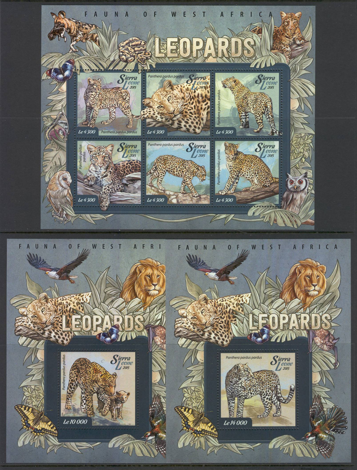 STC676 Sierra Leone 2015 MNH 3 Sheets High CV Wild Animals Leopards | eBay